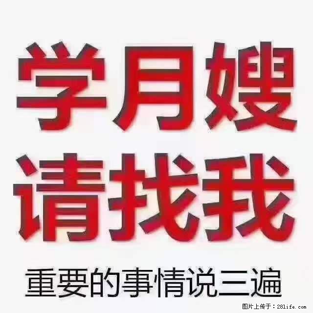 为什么要学习月嫂,育婴师? - 其他广告 - 广告专区 - 阿坝分类信息 - 阿坝28生活网 ab.28life.com