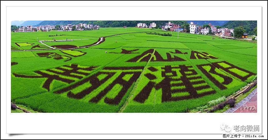 【春天,广西桂林灌阳县向您发出邀请!】开篇 - 游山玩水 - 阿坝生活社区 - 阿坝28生活网 ab.28life.com