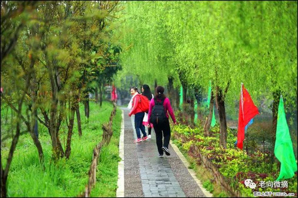 【春天，广西桂林灌阳县向您发出邀请！】江口老街又逢春 - 游山玩水 - 阿坝生活社区 - 阿坝28生活网 ab.28life.com