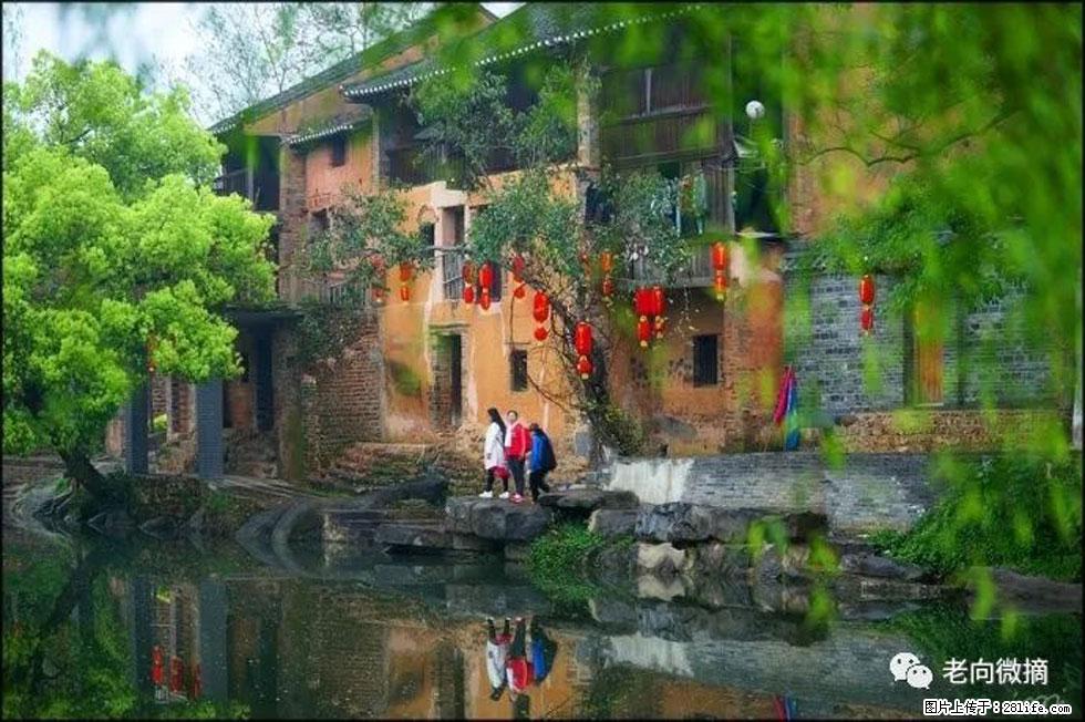 【春天，广西桂林灌阳县向您发出邀请！】江口老街又逢春 - 游山玩水 - 阿坝生活社区 - 阿坝28生活网 ab.28life.com