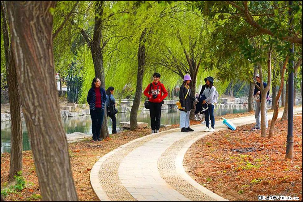 【春天，广西桂林灌阳县向您发出邀请！】江口老街又逢春 - 游山玩水 - 阿坝生活社区 - 阿坝28生活网 ab.28life.com