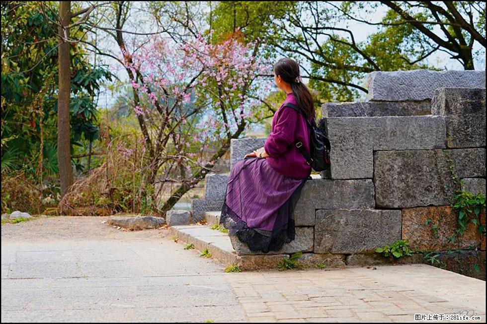 【春天，广西桂林灌阳县向您发出邀请！】江口老街又逢春 - 游山玩水 - 阿坝生活社区 - 阿坝28生活网 ab.28life.com