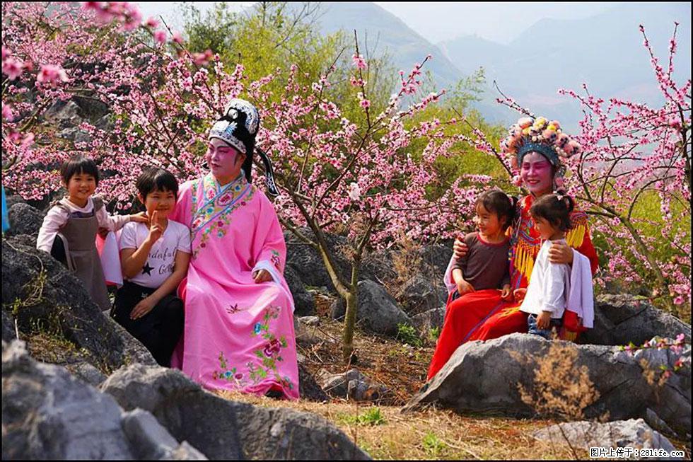 【春天,广西桂林灌阳县向您发出邀请!】望月岭上桃花开 - 游山玩水 - 阿坝生活社区 - 阿坝28生活网 ab.28life.com