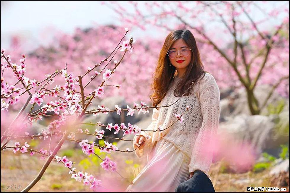 【春天,广西桂林灌阳县向您发出邀请!】望月岭上桃花开 - 游山玩水 - 阿坝生活社区 - 阿坝28生活网 ab.28life.com