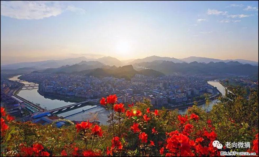 【春天,广西桂林灌阳县向您发出邀请!】登麒麟山,相约映山红 - 游山玩水 - 阿坝生活社区 - 阿坝28生活网 ab.28life.com