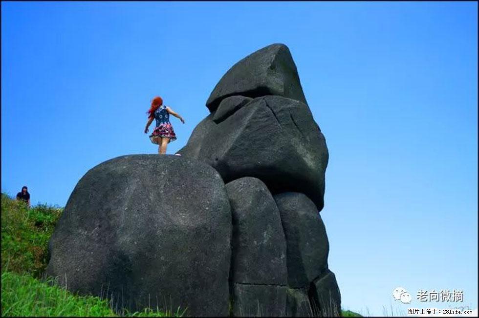 【春天,广西桂林灌阳县向您发出邀请!】宝盖山上映山红 - 游山玩水 - 阿坝生活社区 - 阿坝28生活网 ab.28life.com