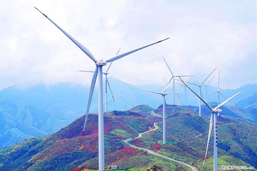 【春天,广西桂林灌阳县向您发出邀请!】春木界上映山红 - 游山玩水 - 阿坝生活社区 - 阿坝28生活网 ab.28life.com