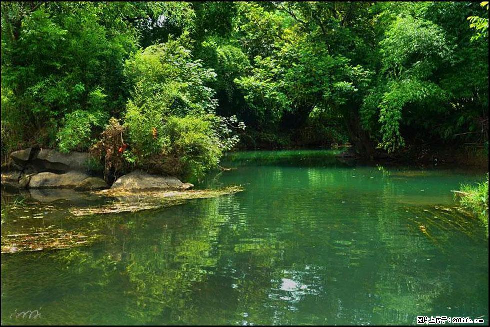 【春天，广西桂林灌阳县向您发出邀请！】如梦似幻莲溪庐 - 游山玩水 - 阿坝生活社区 - 阿坝28生活网 ab.28life.com