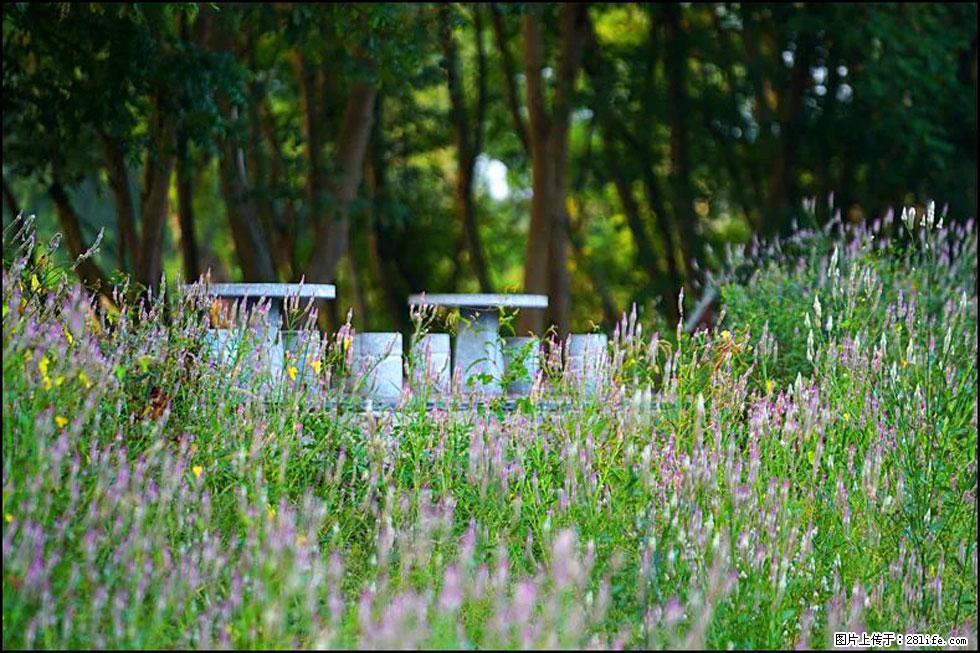 【春天,广西桂林灌阳县向您发出邀请!】熊家寨湿地公园 - 游山玩水 - 阿坝生活社区 - 阿坝28生活网 ab.28life.com