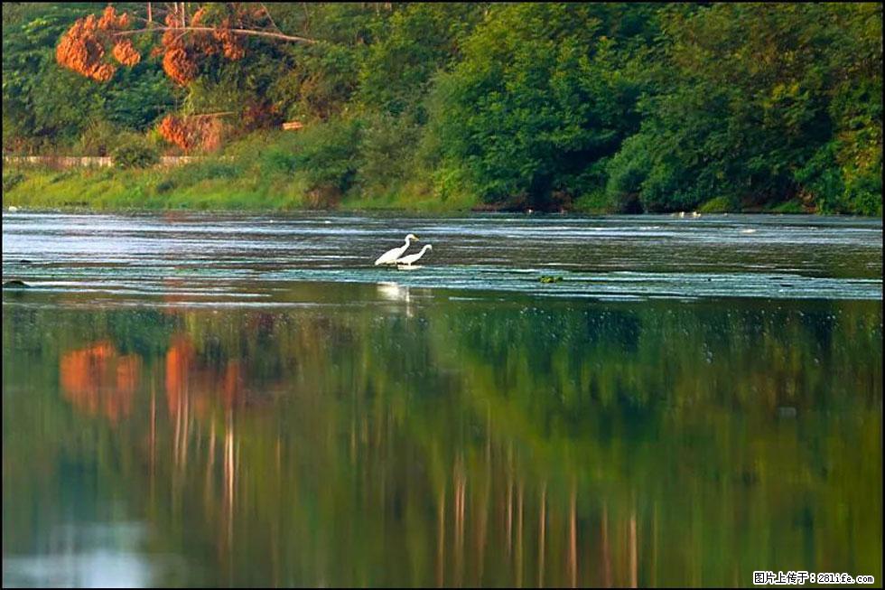 【春天,广西桂林灌阳县向您发出邀请!】熊家寨湿地公园 - 游山玩水 - 阿坝生活社区 - 阿坝28生活网 ab.28life.com