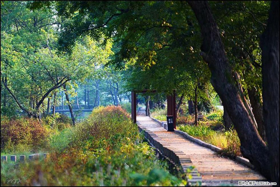 【春天,广西桂林灌阳县向您发出邀请!】熊家寨湿地公园 - 游山玩水 - 阿坝生活社区 - 阿坝28生活网 ab.28life.com