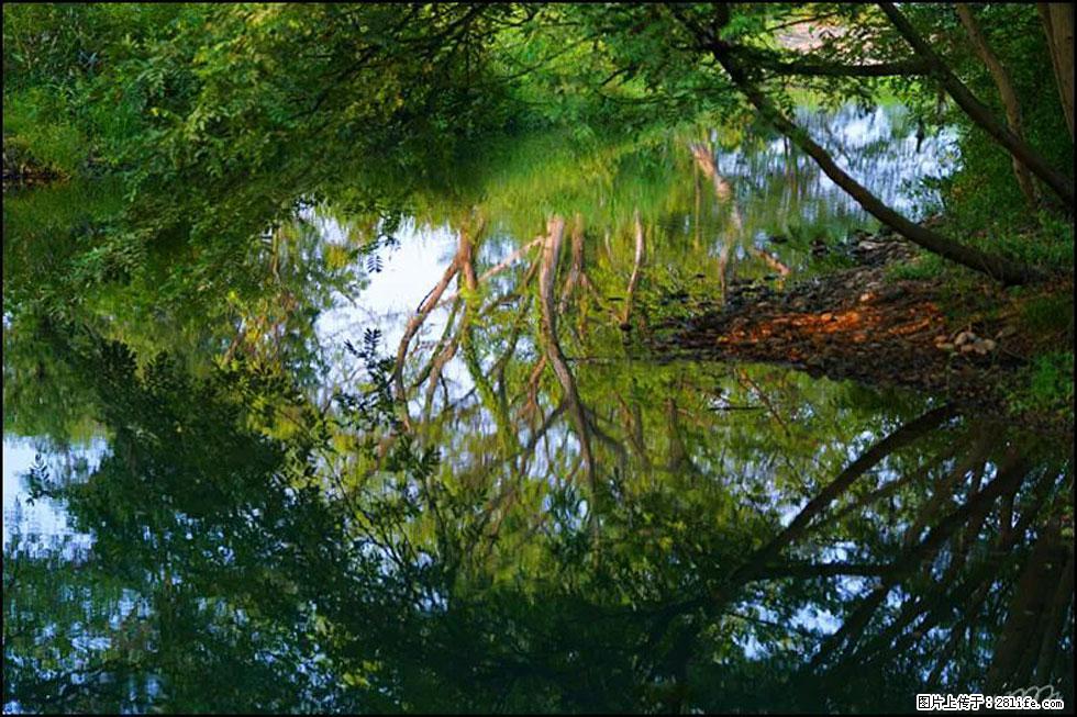 【春天,广西桂林灌阳县向您发出邀请!】熊家寨湿地公园 - 游山玩水 - 阿坝生活社区 - 阿坝28生活网 ab.28life.com