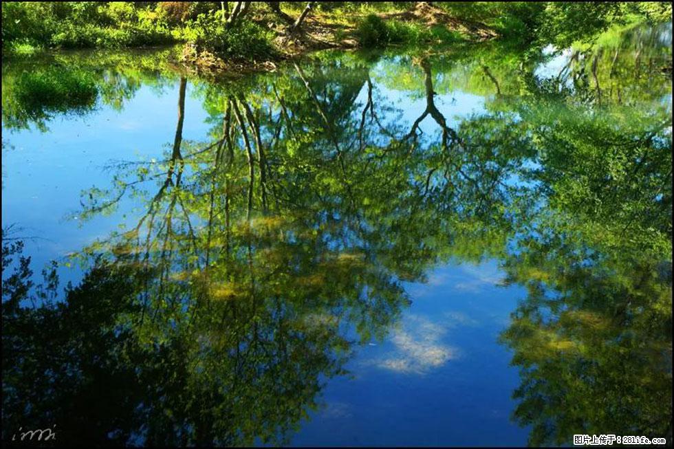 【春天,广西桂林灌阳县向您发出邀请!】熊家寨湿地公园 - 游山玩水 - 阿坝生活社区 - 阿坝28生活网 ab.28life.com