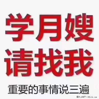 为什么要学习月嫂，育婴师？ - 阿坝28生活网 ab.28life.com