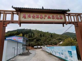 【灌阳县油茶产业示范区】一个有着充实的精神生活的人，对待身外之物自会有一种淡泊的态度 - 阿坝28生活网 ab.28life.com