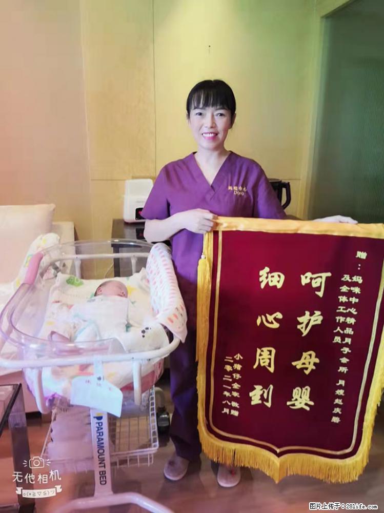 上海高端月子会所招新手月嫂,零基础带教,包吃住 - 职场交流 - 阿坝生活社区 - 阿坝28生活网 ab.28life.com