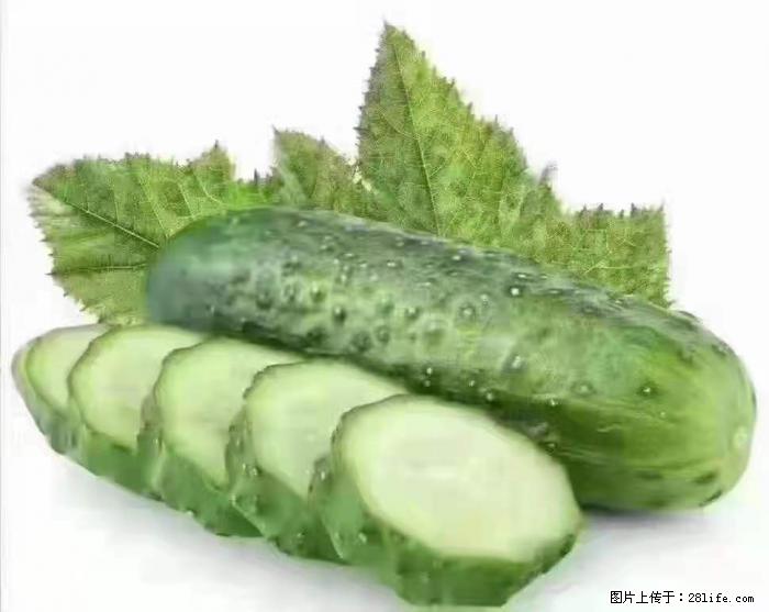 【生活小常识】吃黄瓜的好处 - 生活百科 - 阿坝生活社区 - 阿坝28生活网 ab.28life.com