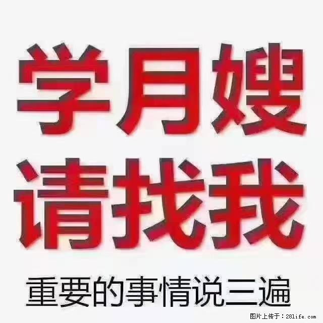 【招聘】月嫂,上海徐汇区 - 职场交流 - 阿坝生活社区 - 阿坝28生活网 ab.28life.com