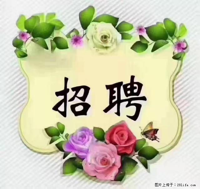 【招聘】住家育儿嫂,上户日期:4月4日,工作地址:上海 黄浦区 - 职场交流 - 阿坝生活社区 - 阿坝28生活网 ab.28life.com