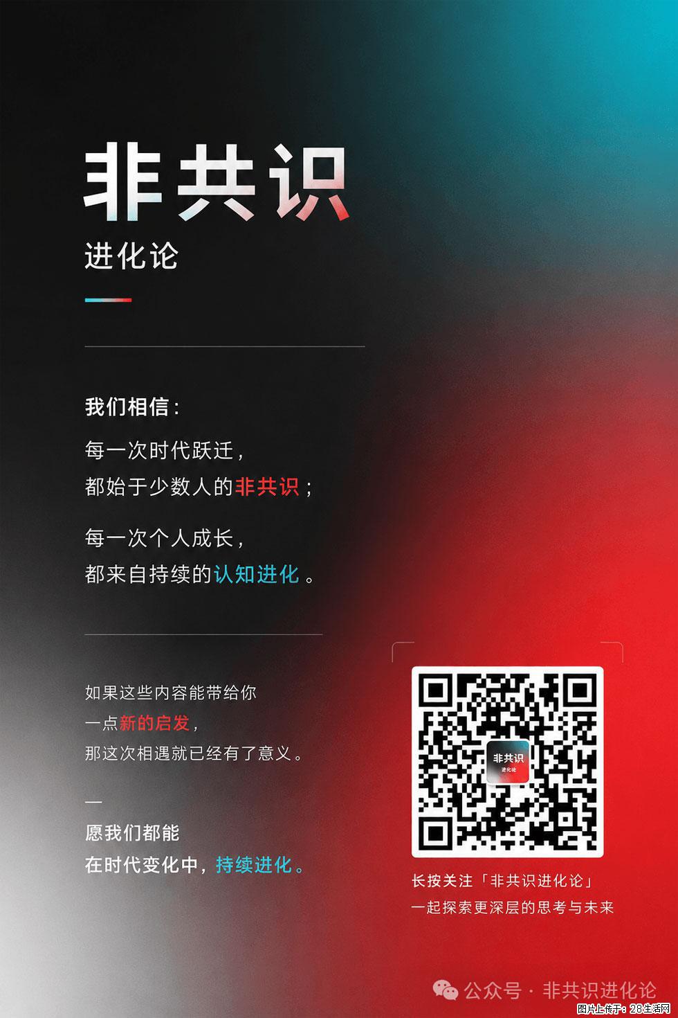 AI不会淘汰程序员，但会改变程序员的成长路径 - 职场交流 - 阿坝生活社区 - 阿坝28生活网 ab.28life.com