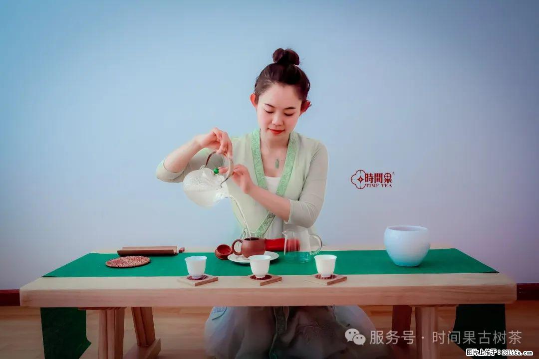 时间果百年古树龙珠普洱生茶 - 购物交流 - 阿坝生活社区 - 阿坝28生活网 ab.28life.com