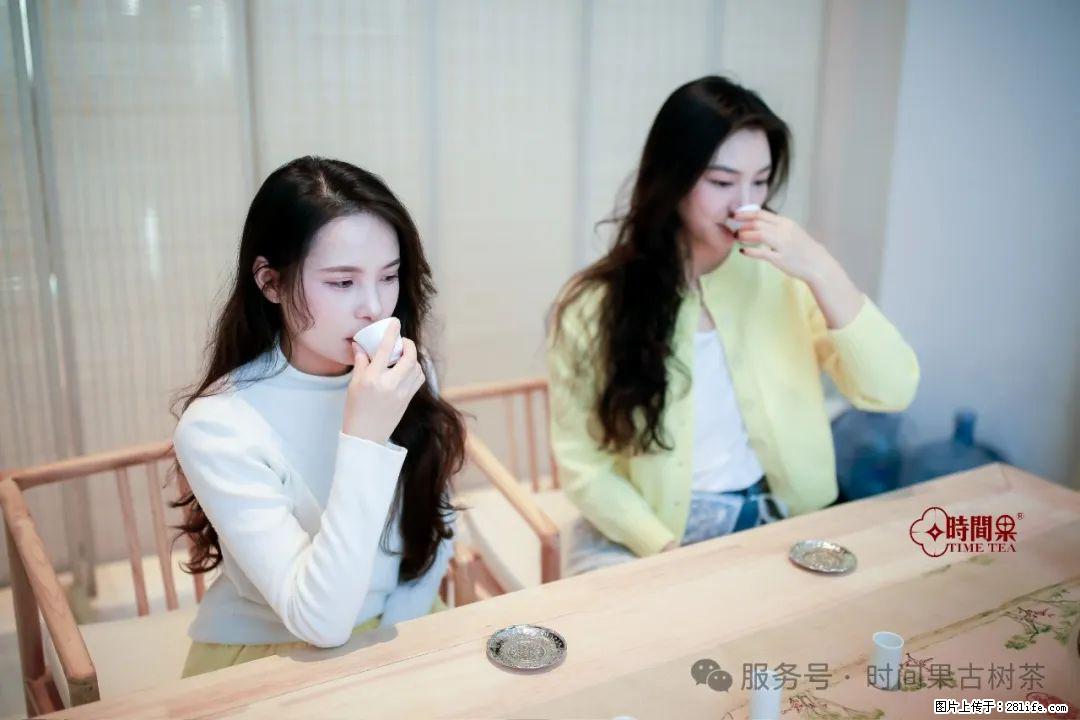 时间果百年古树龙珠普洱生茶 - 购物交流 - 阿坝生活社区 - 阿坝28生活网 ab.28life.com