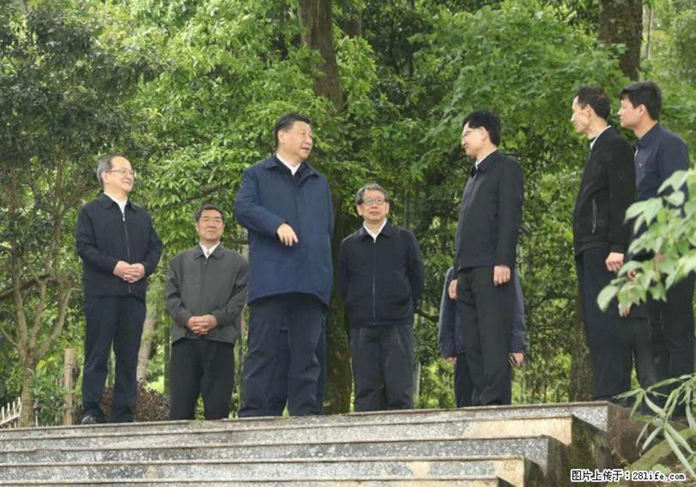 习近平赴广西考察调研 - 阿坝生活资讯 - 阿坝28生活网 ab.28life.com