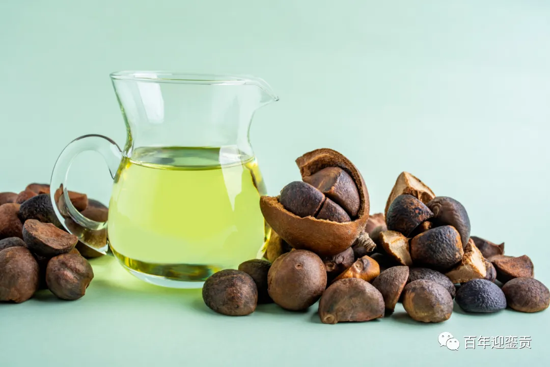 世界没有真相,只有认知,最好的食用油是中国的山茶油! - 阿坝生活资讯 - 阿坝28生活网 ab.28life.com