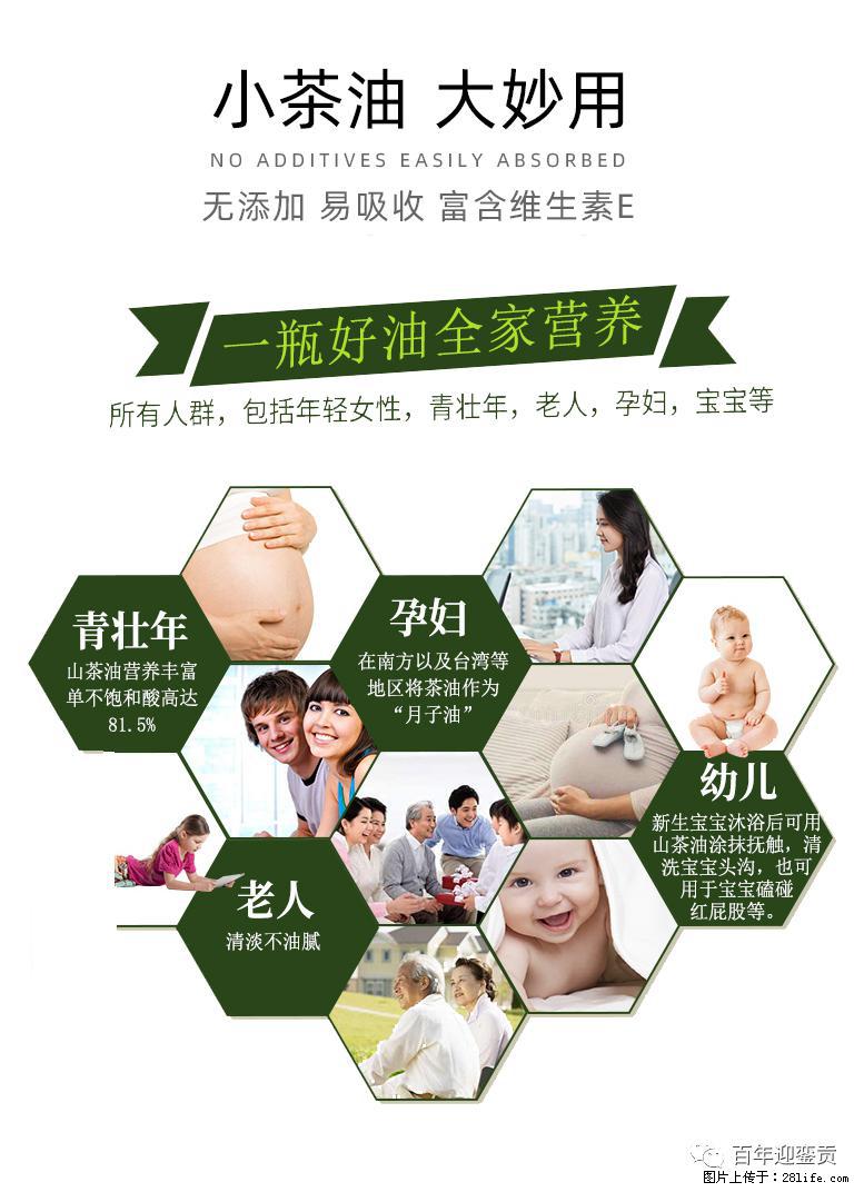 世界没有真相,只有认知,最好的食用油是中国的山茶油! - 阿坝生活资讯 - 阿坝28生活网 ab.28life.com