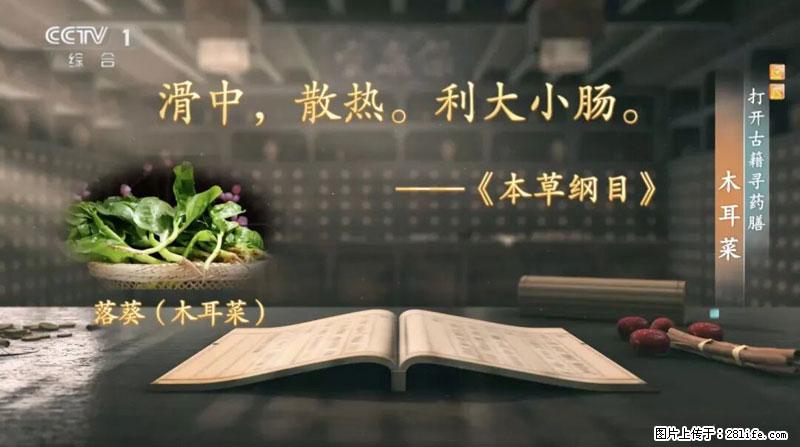 比牛奶补钙还厉害！凉血解毒、稳血糖...这菜冬天必吃，很多人却当草 - 阿坝生活资讯 - 阿坝28生活网 ab.28life.com