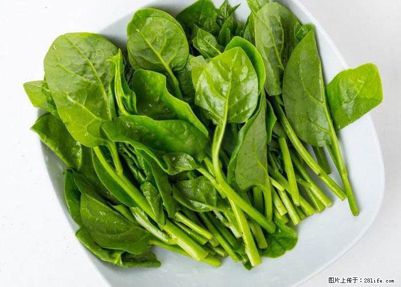 这些蔬菜是“天然钙片”，这6种被医生重点推荐 - 阿坝生活资讯 - 阿坝28生活网 ab.28life.com