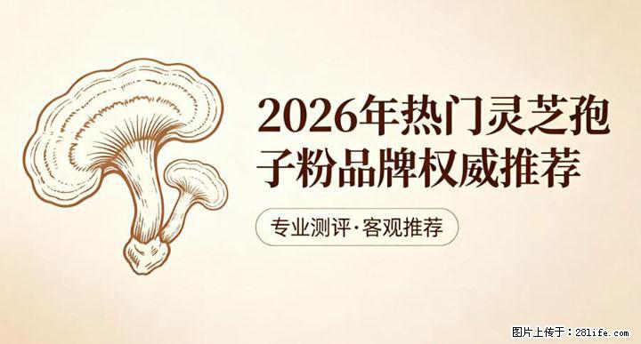 灵芝孢子粉含量越高越有效？2026 年七款热门品牌深度实测，肠胃敏感者避坑指南 - 阿坝生活资讯 - 阿坝28生活网 ab.28life.com