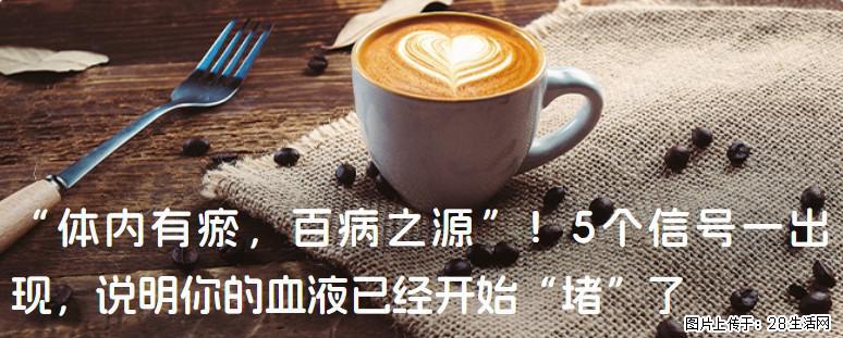 “体内有瘀，百病之源”！5个信号一出现，说明你的血液已经开始“堵”了 - 阿坝生活资讯 - 阿坝28生活网 ab.28life.com