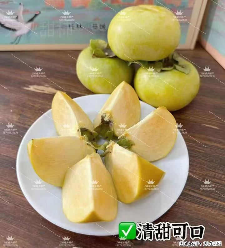 广西桂林平乐桥亭【红心猕猴桃】、【大秋甜柿】上市啦，欢迎各位新老客户下单（另有少量小果出售） - 阿坝生活资讯 - 阿坝28生活网 ab.28life.com